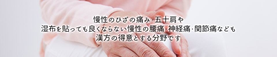 慢性のひざの痛み・五十肩や湿布を貼っても良くならない慢性の腰痛・神経痛・関節痛なども漢方の得意とする分野です